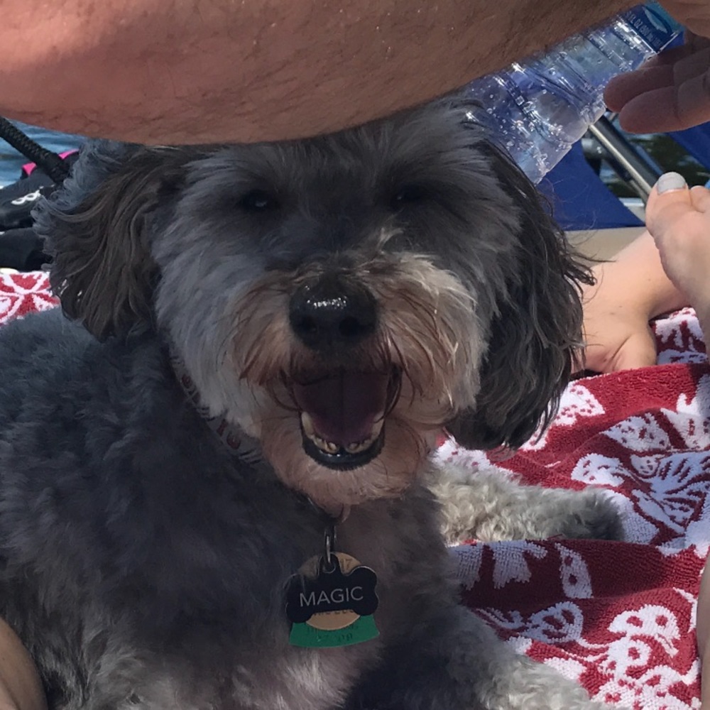 Meet your Posher, Amy